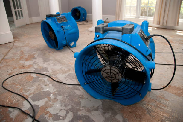 Trusted Water Damage Restoration in Madison Lake, MN | Fast, Reliable, and Ready to Assist You