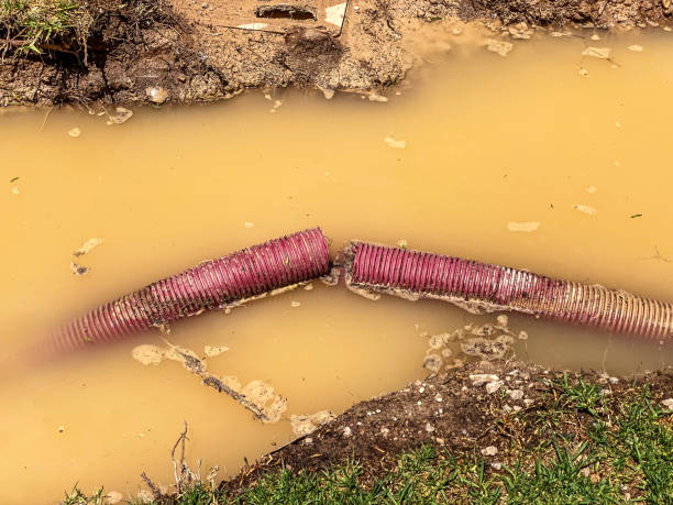 Madison Lake, MN Water damage restoration Company